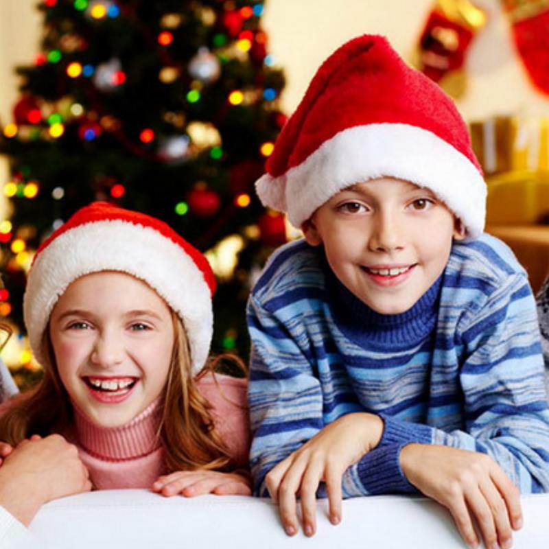 Plush Christmas Hat for Adult  - đánh giá và giá Santa Hat Plush