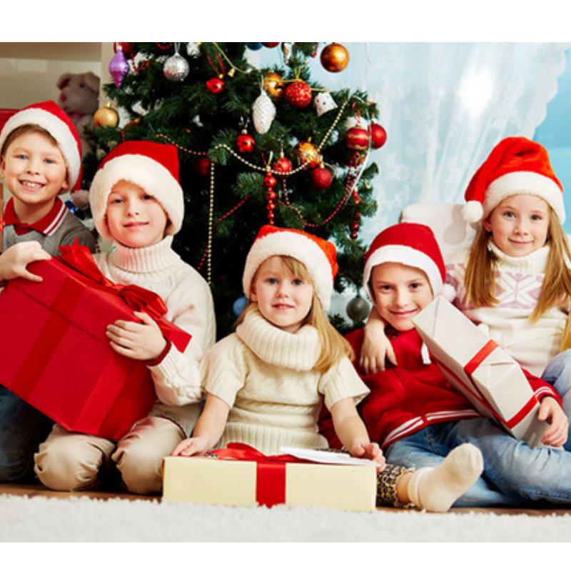 Plush Christmas Hat for Adult  - đánh giá và giá Santa Hat Plush